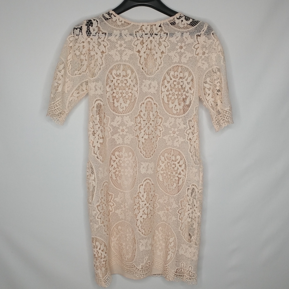 Zara Nude Pink Lace Dress - Picture 2 of 14